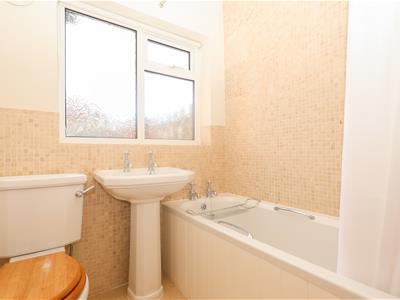 Picture 24